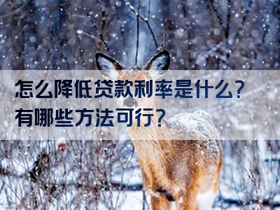 怎么降低贷款利率是什么？有哪些方法可行？