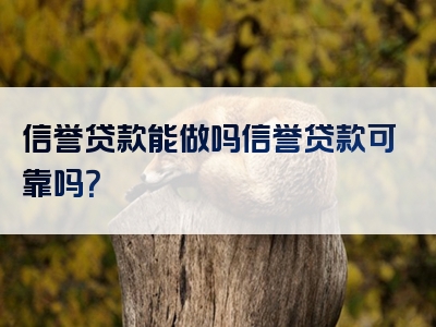 信誉贷款能做吗信誉贷款可靠吗？