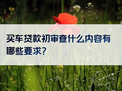 买车贷款初审查什么内容有哪些要求？