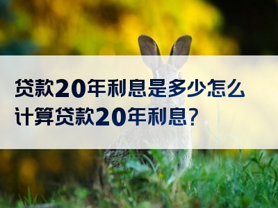 贷款20年利息是多少怎么计算贷款20年利息？