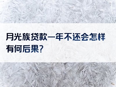 月光族贷款一年不还会怎样有何后果？