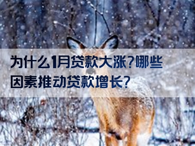 为什么1月贷款大涨？哪些因素推动贷款增长？