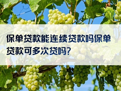 保单贷款能连续贷款吗保单贷款可多次贷吗？