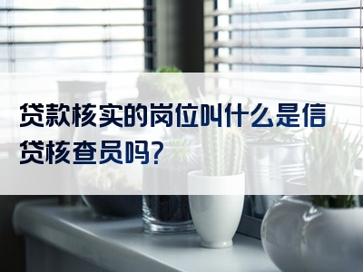 贷款核实的岗位叫什么是信贷核查员吗？