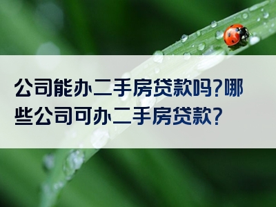 公司能办二手房贷款吗？哪些公司可办二手房贷款？