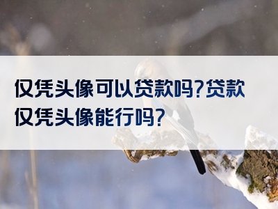 仅凭头像可以贷款吗？贷款仅凭头像能行吗？