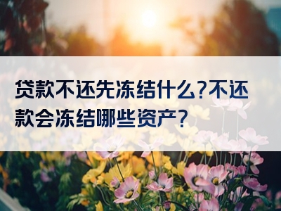 贷款不还先冻结什么？不还款会冻结哪些资产？