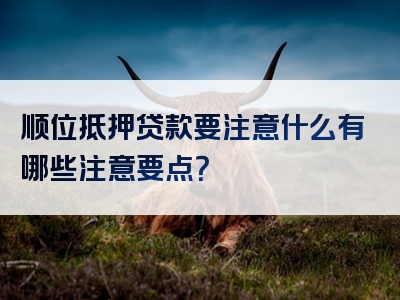 顺位抵押贷款要注意什么有哪些注意要点？