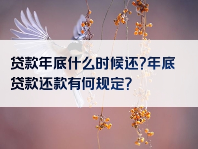 贷款年底什么时候还？年底贷款还款有何规定？