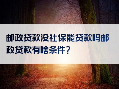 邮政贷款没社保能贷款吗邮政贷款有啥条件？