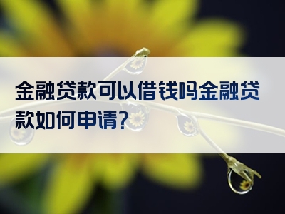 金融贷款可以借钱吗金融贷款如何申请？