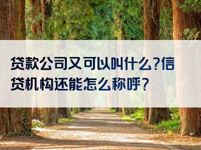 贷款公司又可以叫什么？信贷机构还能怎么称呼？