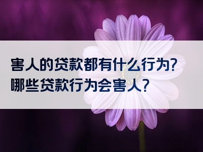 害人的贷款都有什么行为？哪些贷款行为会害人？