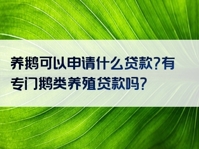 养鹅可以申请什么贷款？有专门鹅类养殖贷款吗？