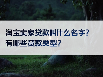 淘宝卖家贷款叫什么名字？有哪些贷款类型？