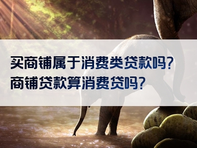 买商铺属于消费类贷款吗？商铺贷款算消费贷吗？