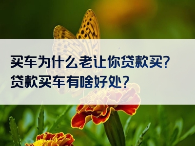 买车为什么老让你贷款买？贷款买车有啥好处？