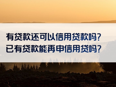 有贷款还可以信用贷款吗？已有贷款能再申信用贷吗？