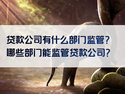 贷款公司有什么部门监管？哪些部门能监管贷款公司？