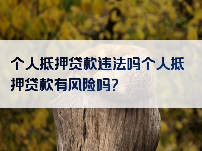 个人抵押贷款违法吗个人抵押贷款有风险吗？