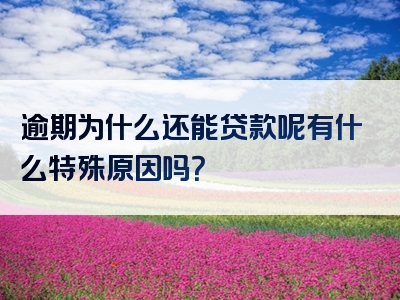 逾期为什么还能贷款呢有什么特殊原因吗？