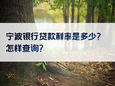 宁波银行贷款利率是多少？怎样查询？