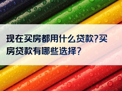 现在买房都用什么贷款？买房贷款有哪些选择？