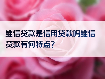 维信贷款是信用贷款吗维信贷款有何特点？