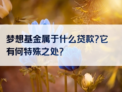 梦想基金属于什么贷款？它有何特殊之处？