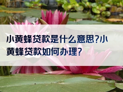 小黄蜂贷款是什么意思？小黄蜂贷款如何办理？