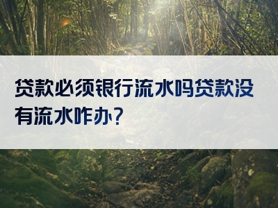 贷款必须银行流水吗贷款没有流水咋办？