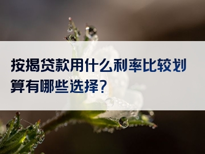 按揭贷款用什么利率比较划算有哪些选择？