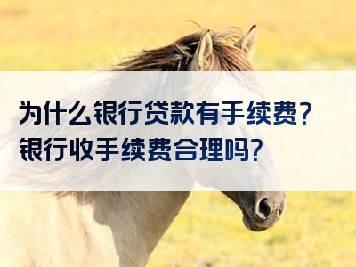 为什么银行贷款有手续费？银行收手续费合理吗？