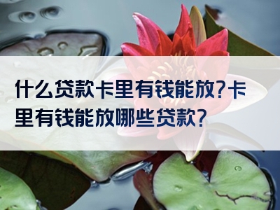 什么贷款卡里有钱能放？卡里有钱能放哪些贷款？