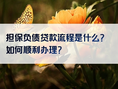 担保负债贷款流程是什么？如何顺利办理？