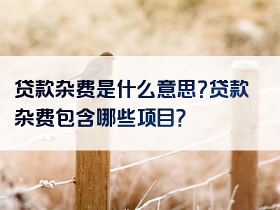 贷款杂费是什么意思？贷款杂费包含哪些项目？