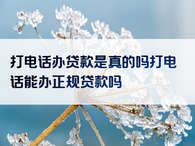 打电话办贷款是真的吗打电话能办正规贷款吗