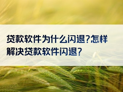 贷款软件为什么闪退？怎样解决贷款软件闪退？