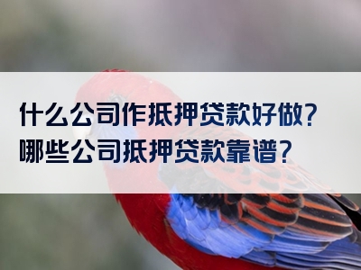 什么公司作抵押贷款好做？哪些公司抵押贷款靠谱？