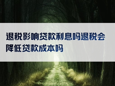 退税影响贷款利息吗退税会降低贷款成本吗