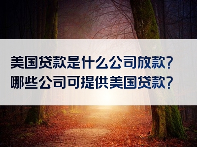 美国贷款是什么公司放款？哪些公司可提供美国贷款？