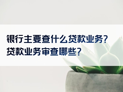 银行主要查什么贷款业务？贷款业务审查哪些？