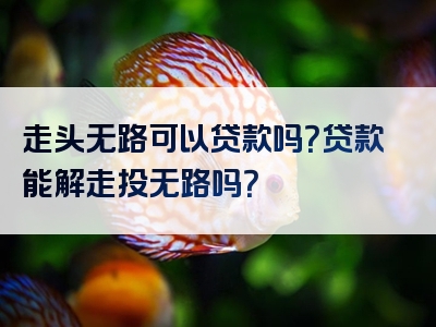 走头无路可以贷款吗？贷款能解走投无路吗？