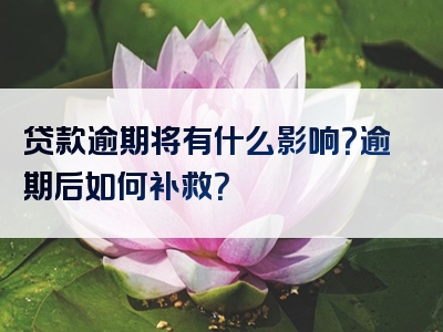 贷款逾期将有什么影响？逾期后如何补救？