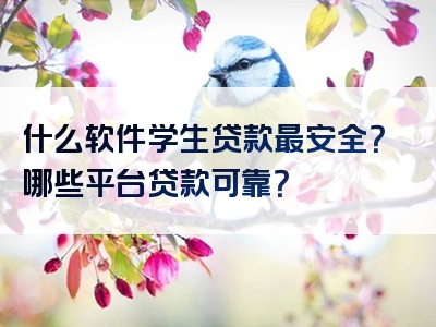 什么软件学生贷款最安全？哪些平台贷款可靠？