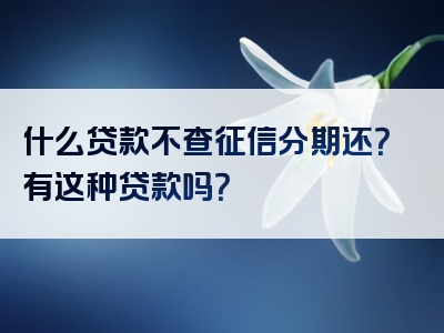 什么贷款不查征信分期还？有这种贷款吗？