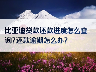 比亚迪贷款还款进度怎么查询？还款逾期怎么办？