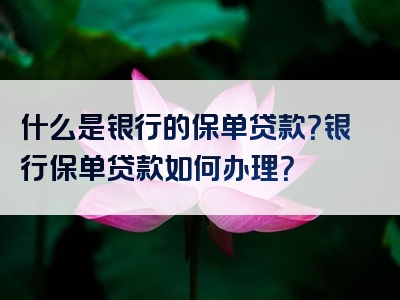 什么是银行的保单贷款？银行保单贷款如何办理？