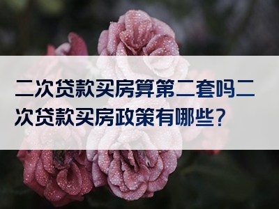 二次贷款买房算第二套吗二次贷款买房政策有哪些？