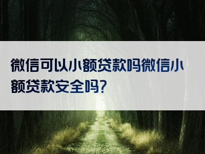 微信可以小额贷款吗微信小额贷款安全吗？